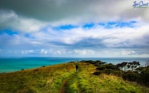 NZ Raglan surf tetoto gorge
