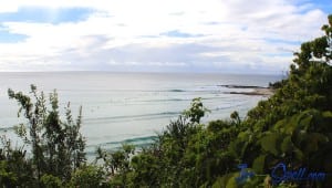Snapper Rocks Live Swell Surf Trip 2015-imp