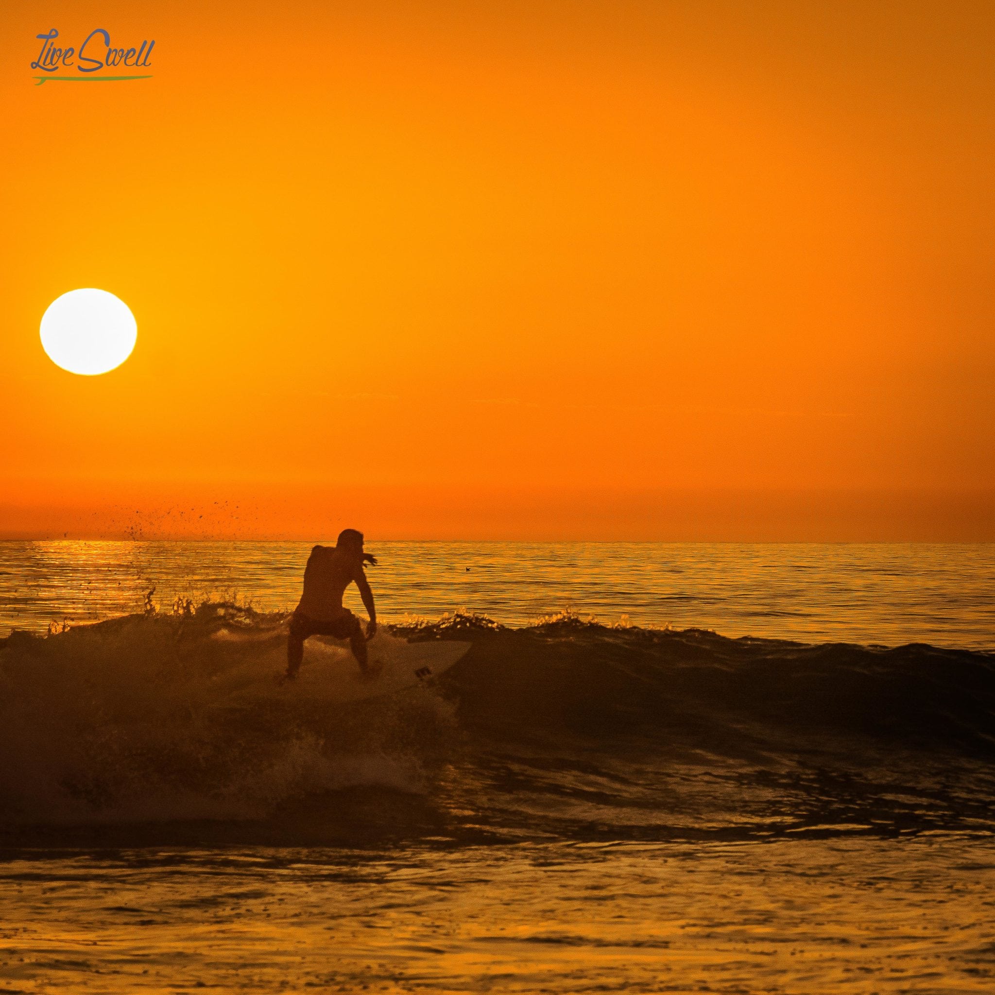 Mike Live Swell San Diego Mission Beach Sunset Surfing