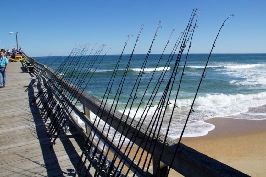 Outer Banks Fish and Fishing For Visitors