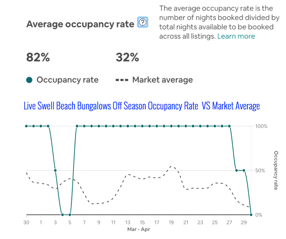 Live Swell Beach Bungalows Occupancy Rate